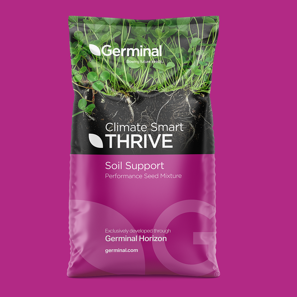 Autumn Multigraze Brassica Mix