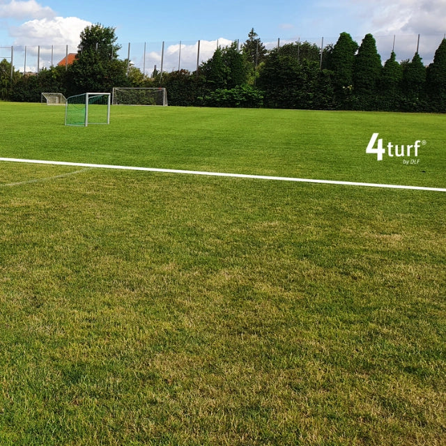 PM 81 4Turf Premier Renovation