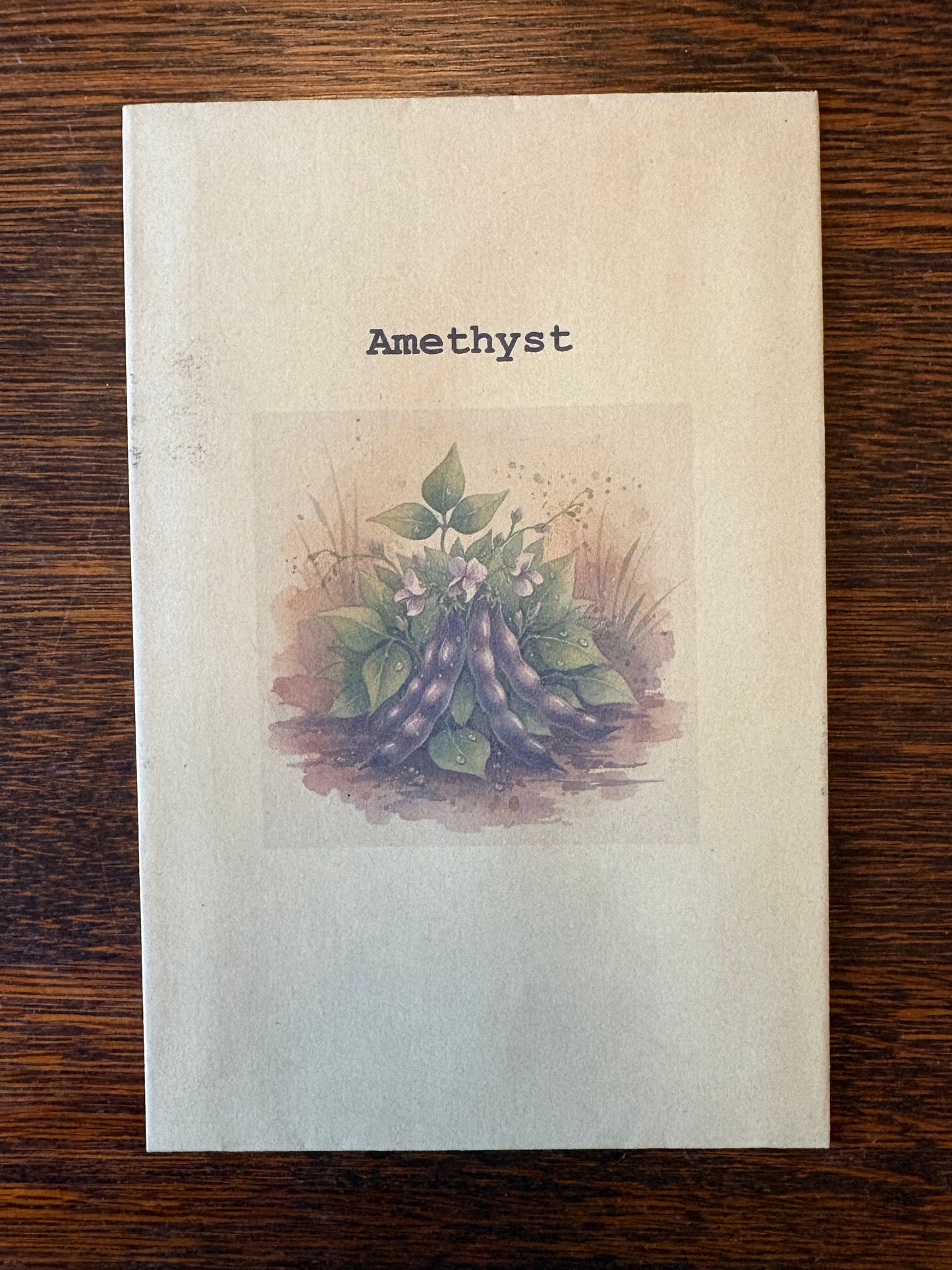 Purple Dwarf French Bean Seeds, Amethyst variety, stringless gourmet vegetable seeds from The Puzzle Seed Company.