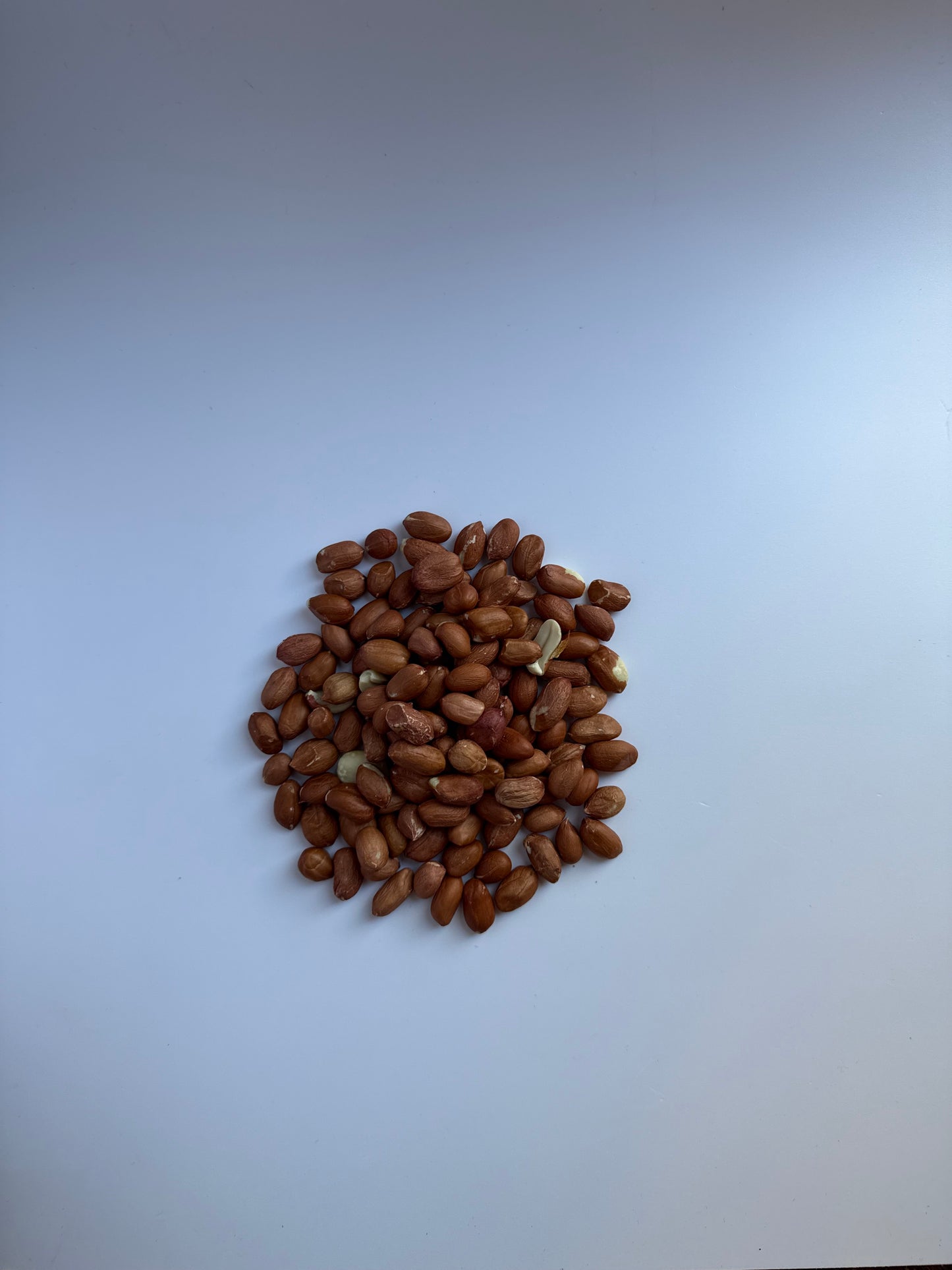 Farmer Tom’s Premier Aflatoxin-Safe Peanuts by The Puzzle Seed Company in a bowl, showcasing fresh, high-quality peanuts.