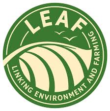 Image of fresh coconut halves with a Leaf logo from The Puzzle Seed Company, showcasing the natural coconut texture and appearance.