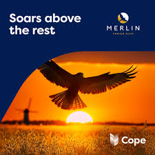 Merlin
