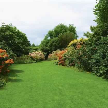 PM51 Greenscape Hard-Wearing Lawn Grass Seed