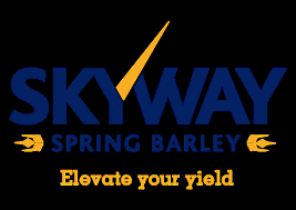 Skyway