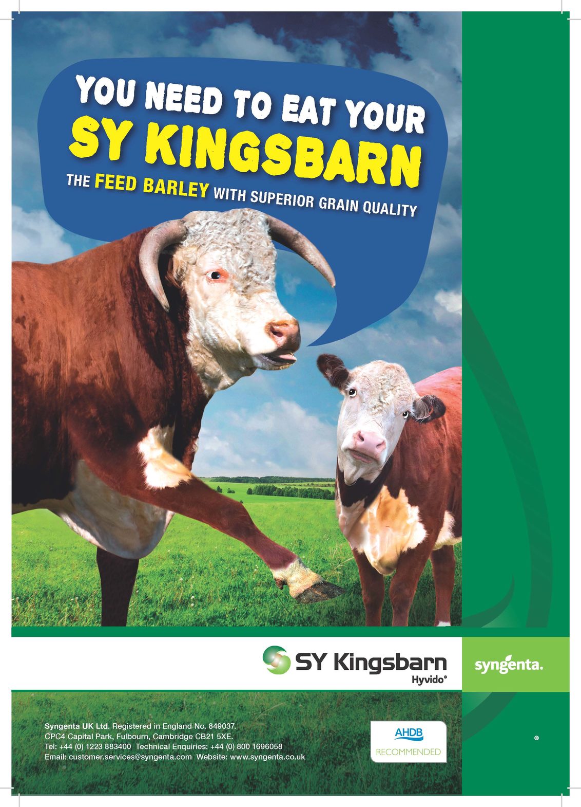 Sy Kingsbarn