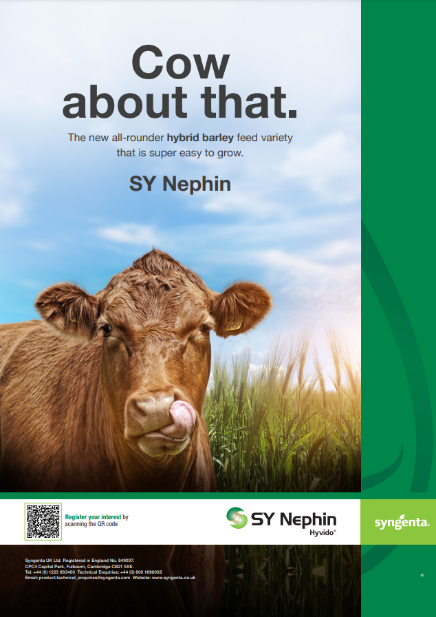 SY Nephin