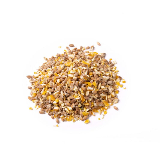 Eyebrook Mixed Corn – Add Variety to Your Garden - The Puzzle Seed Company