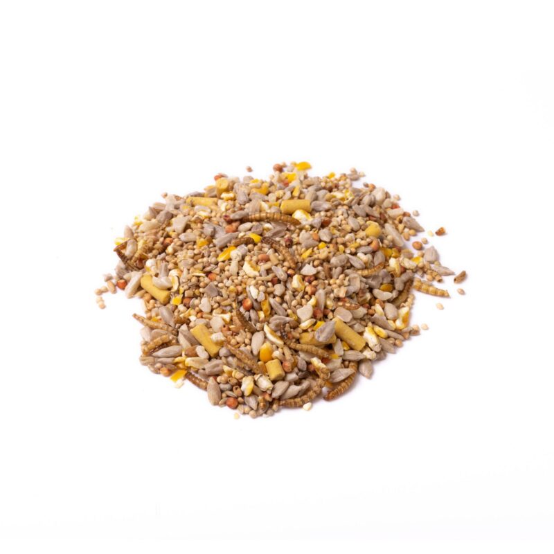 Eyebrook Fledgling Mix – Supporting Young Birds - The Puzzle Seed Company