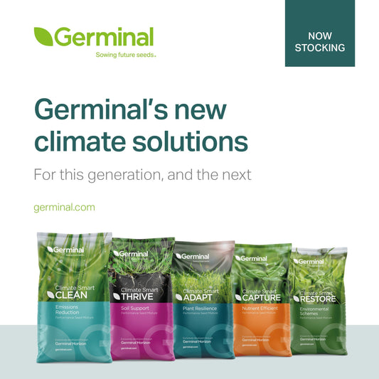 Aber High Sugar Grasses - What are the Benefits?