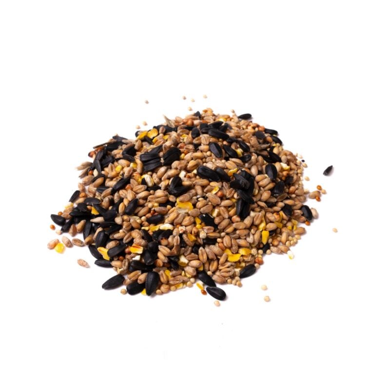 Eyebrook Mixed Seed – The All-Round Garden Favourite - The Puzzle Seed Company