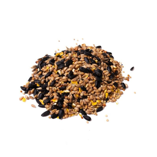 Eyebrook Mixed Seed – The All-Round Garden Favourite - The Puzzle Seed Company
