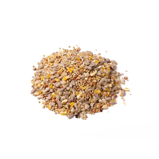Winter Bird Feeding Guide: Why Wheat-Free &amp; High Energy are Essential for Success - The Puzzle Seed Company