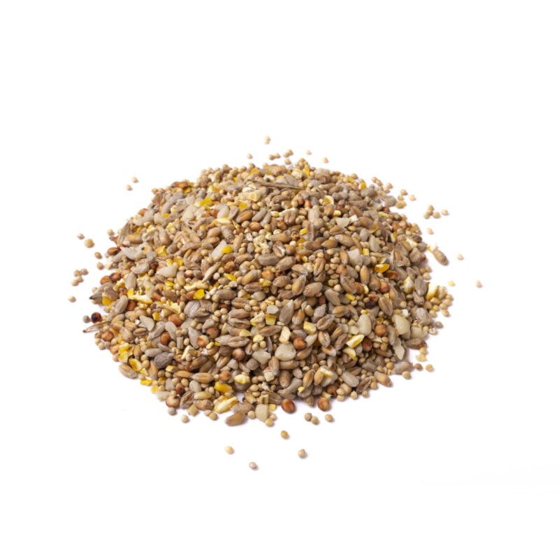 Eyebrook Premier Mix – A Step Up in Quality