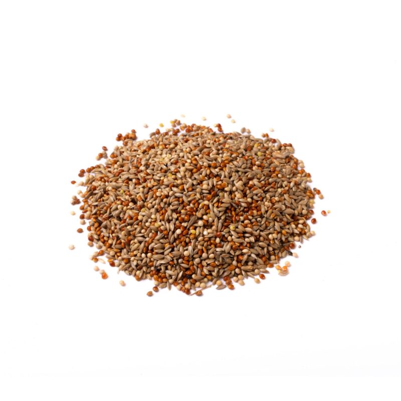 Eyebrook Tree Sparrow Mix – Specialty Blend for Niche Visitors - The Puzzle Seed Company