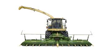 Forage Crop