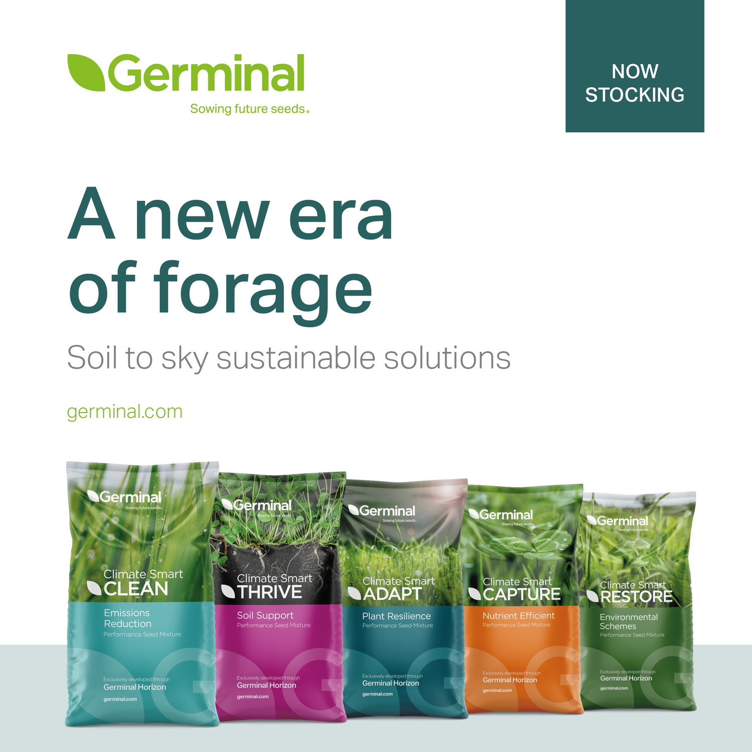 Germinal Grass Seed