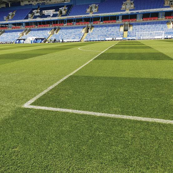 DLF Masterline: Professional Sports Turf Mixtures for Uncompromising Performance