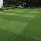 PM50 Quality Lawn Grass Seed Mix