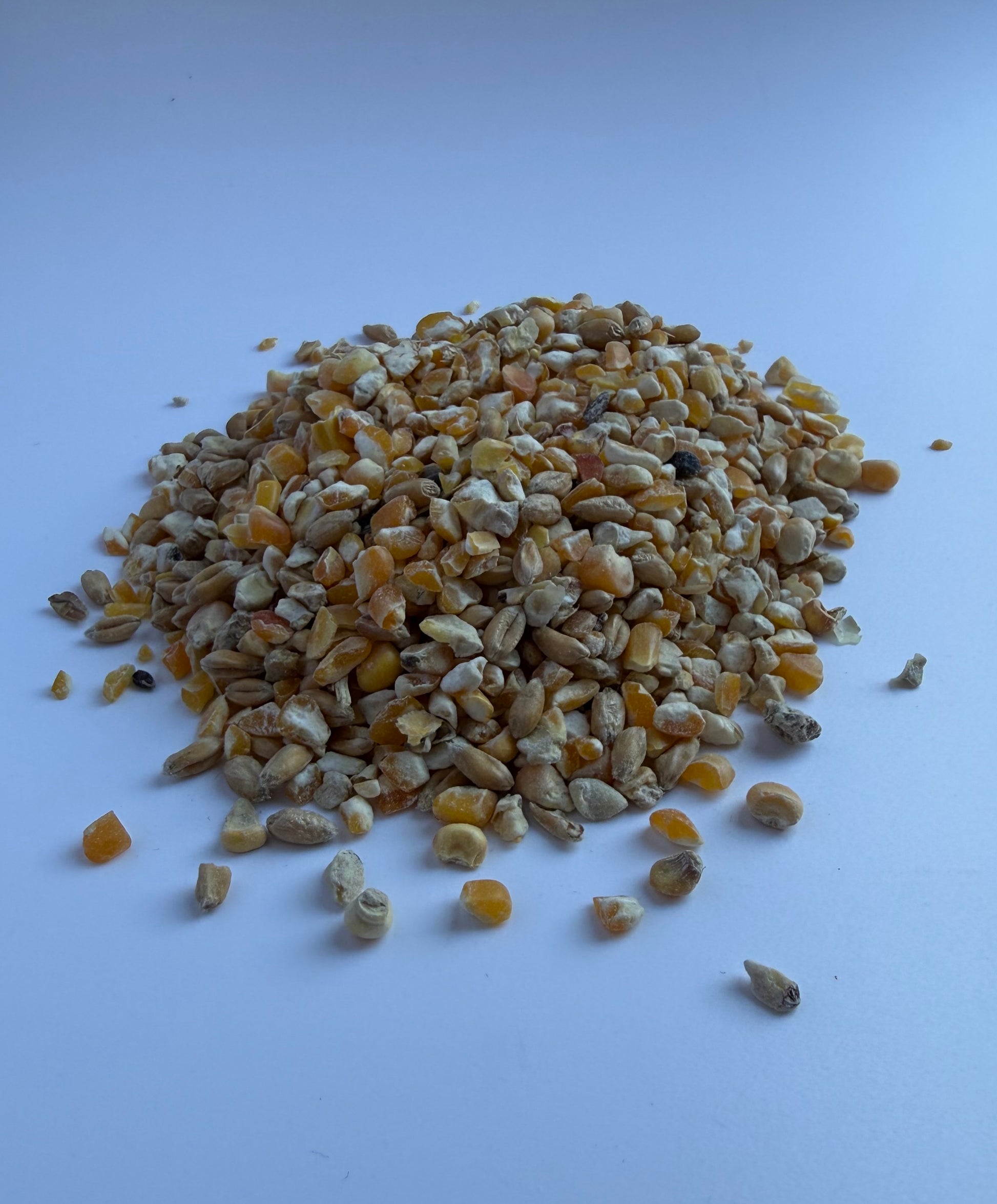 Clucking Good Chicken Food by The Puzzle Seed Company in a bag, designed for healthy, happy hens.