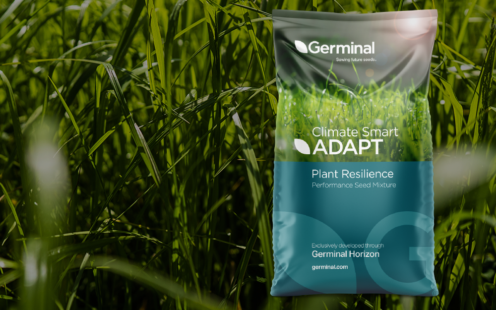 Climate Smart Adapt Short Term Silage 1-2 years with Red Clover