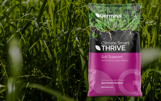 CS Thrive Multi-Species Grazing - No Red Clover, with Herbs