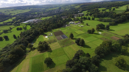 PM 82 Microclover Sport – Eco‑Friendly, Wear‑Tolerant Sports Pitch Grass Seed Mix