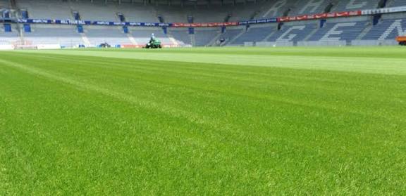 PM 79 Playing Field