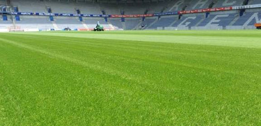 PM 79 Playing Field