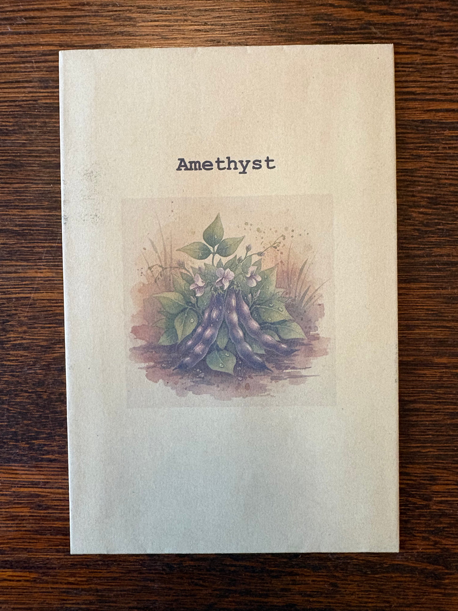 Purple Dwarf French Bean Seeds, Amethyst variety, stringless gourmet vegetable seeds from The Puzzle Seed Company.