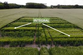 Integral