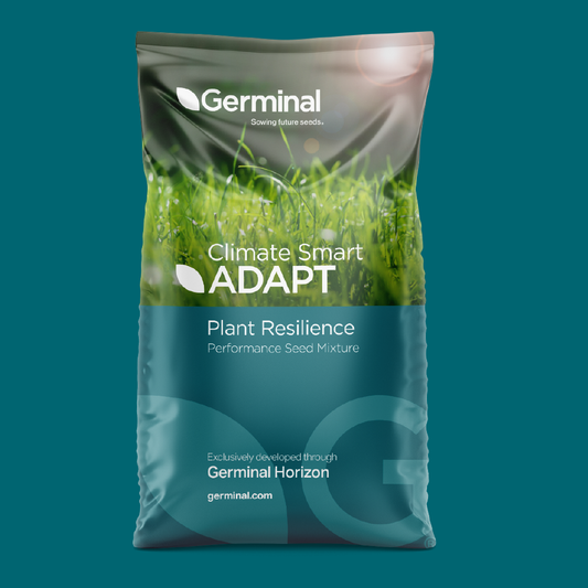 Maris Kestrel forage kale seeds from The Puzzle Seed Company, shown in a germination and growth adaptation image.