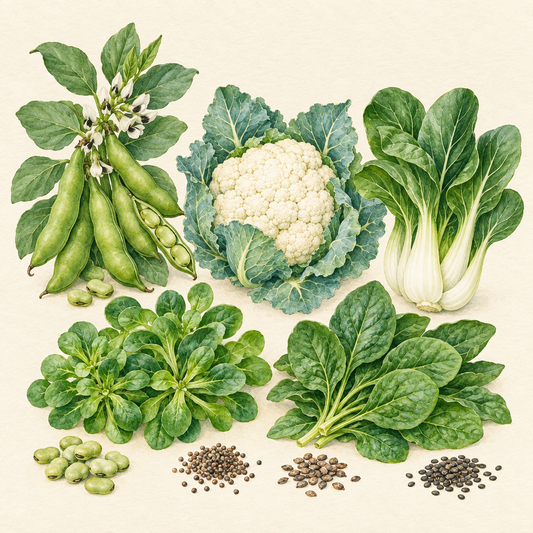 Early Spring Kitchen botanical watercolour