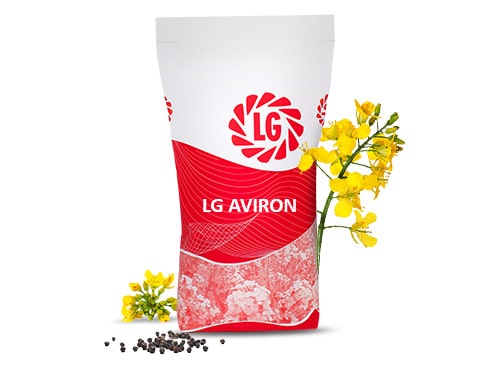 LG Aviron
